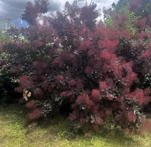 L Atmosphere Tendre Apartamento Toulouse