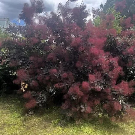 L Atmosphere Tendre 아파트 툴루즈